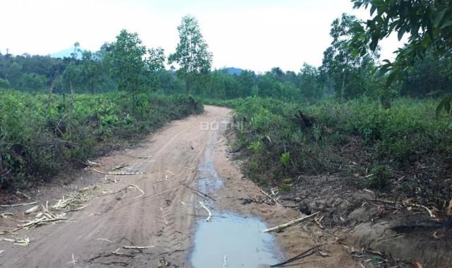 Cần bán lô đất rộng 7,2 ha, ở xã Khánh Bình, huyện Khánh Vĩnh
