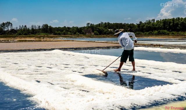 Cần sang lại gấp 6.6 ha đất Lý Nhơn, Cần Giờ, giá 1.8 tỷ/ha