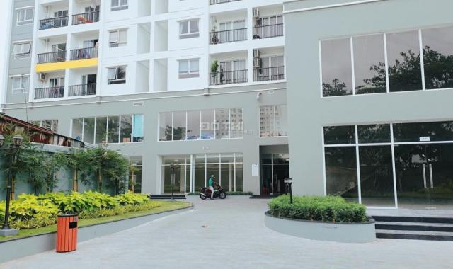 Bán gấp căn hộ MT Lũy Bán Bích, liền kề Đầm Sen, quận Tân Phú, giá rất hấp dẫn