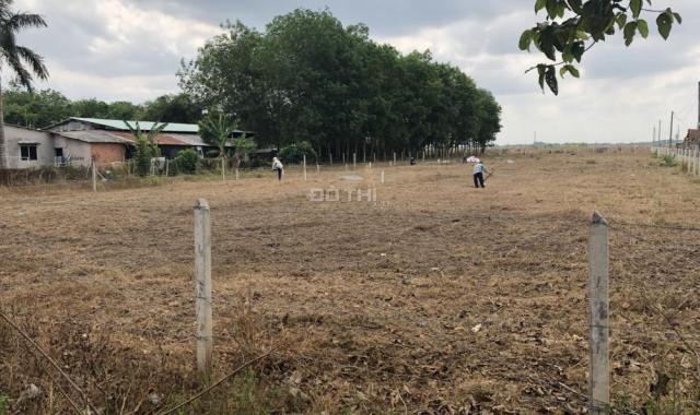 Bán vài lô đất Bùi Thị Điệt, Củ Chi với giá thấp, SH riêng, 124m2, 7tr/m2 đ