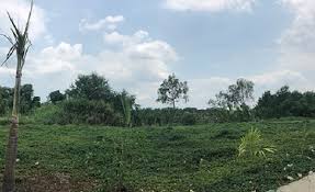 Bán 6 công đất mà giá 5 trăm nghìn/m2, ngay sân golf lớn nhất Đông Nam Á, 0971817008