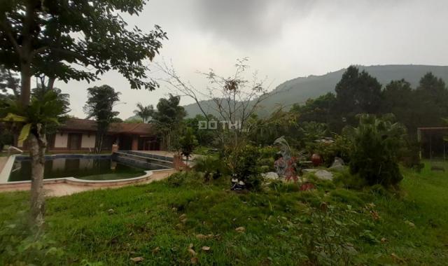 Bán 12ha biệt thự nghỉ dưỡng Bãi Dài, Tiến Xuân, cạnh khu đô thị Xanh Villas, giá 125 tỷ