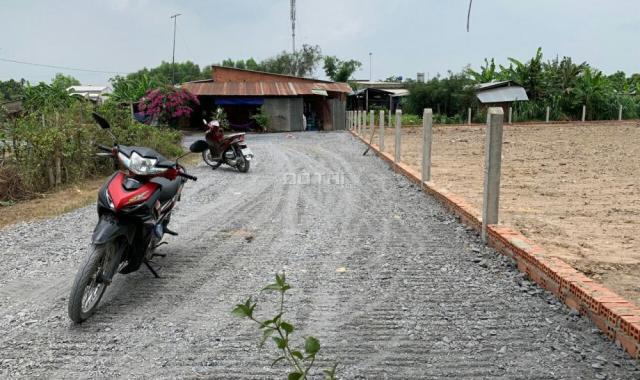 Bán đất sổ hồng riêng xã Tân An Hội, huyện Củ Chi, diện tích 2356m2