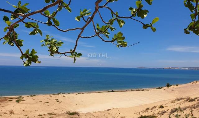 Bán đất tại đường Võ Nguyên Giáp, Xã Thiện Nghiệp, Phan Thiết, Bình Thuận. DT 2000m2, giá 2 tr/m2