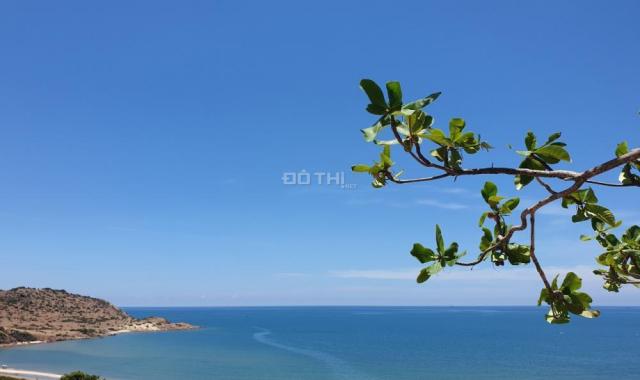 Bán đất tại đường Võ Nguyên Giáp, Xã Thiện Nghiệp, Phan Thiết, Bình Thuận. DT 2000m2, giá 2 tr/m2