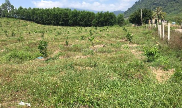Cần bán nhanh trang trại 7ha đất vườn đẹp (Có 500m2 thổ cư) ở xã Khánh Trung, huyện Khánh Vĩnh