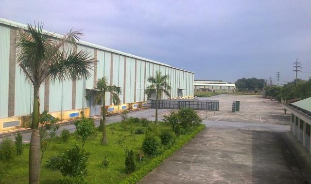 Cần chuyển nhượng nhà xưởng công nghiệp 50 năm tại Hà Bình Phương, Thường Tín, Hà Nội