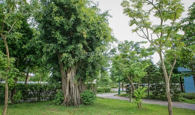 Bán gấp căn hộ KĐT sinh thái xanh gần TT quận Hoàng Mai 3 PN, giá 1.7 tỷ