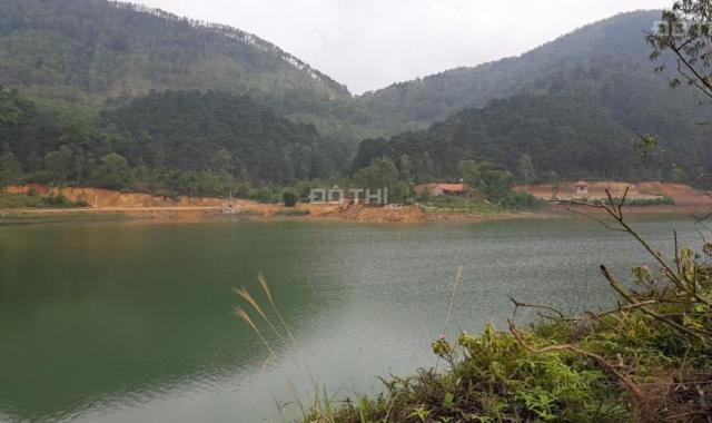 Siêu sốc chính chủ bán đất đập hồ Đồng Đò, Sóc Sơn, 8000m2 + 3ha đất rừng, giá cực rẻ 12 tỷ