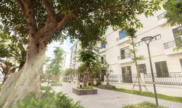 CK 2% cho 4 căn cuối nhà vườn Pandora Thanh Xuân 5 tầng 147m2 đã hoàn thiện đẹp, cho thuê giá cao