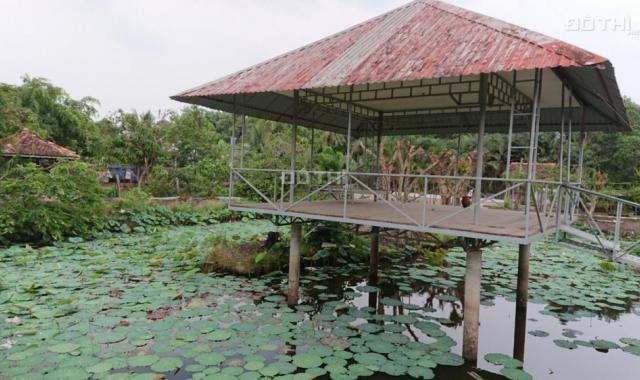 Cho thuê 0,5 hecta đất sân vườn đã có cơ sở hạ tầng giữa trung tâm TP Tây Ninh
