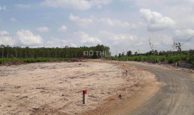 Cần bán 1 mẫu đất đối diện cổng KCN Đất Đỏ, cách đường QL 55 2 km