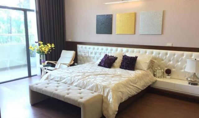 Chuyên cho thuê căn hộ chung cư cao cấp Golden Palace, 2 phòng ngủ và 3 phòng ngủ, giá rẻ nhất