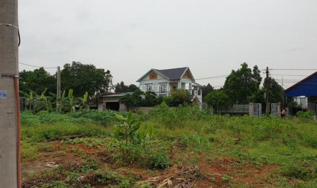 Bán đất đấu giá thôn Thắng Trí, Sóc Sơn, Hà Nội DT 100m2, sổ đỏ chính chủ, giá bán 320tr