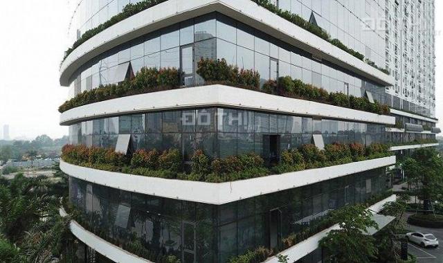 Bán căn góc officetel tầng đẹp DT: 70m2, giá 1,5 tỷ tòa Ecolife Capitol 58 Tố Hữu. LH: 0908823345