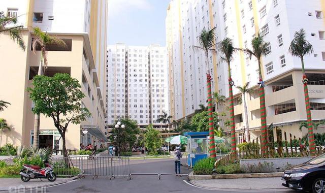 Bán shophouse chung cư Sunview Town (Block Pearl) Thủ Đức 104m2, 4.05 tỷ