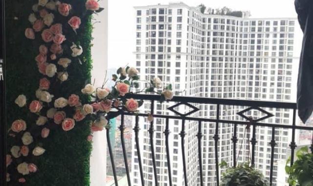 Cho thuê căn hộ chung cư Royal City - Thanh Xuân, 110m2, 2 PN sáng. Đủ đồ đẹp, nhà thoáng