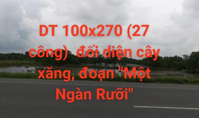 Bán đất mặt tiền khủng (100m) 100x270m = 27.000m2 (27 công), QL 61C, đường nối Vị Thanh, Cần Thơ