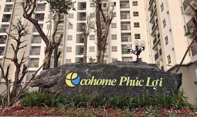 Bán căn hộ chung cư tại dự án Ecohome Phúc Lợi, Long Biên, Hà Nội, diện tích 55,8m2, giá 1,05 tỷ
