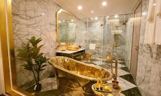 Mở bán siêu dự án dát vàng HaNoi Golden Lake B7 Giảng Võ, có cam kết lợi nhuận là 10%/năm/10 năm