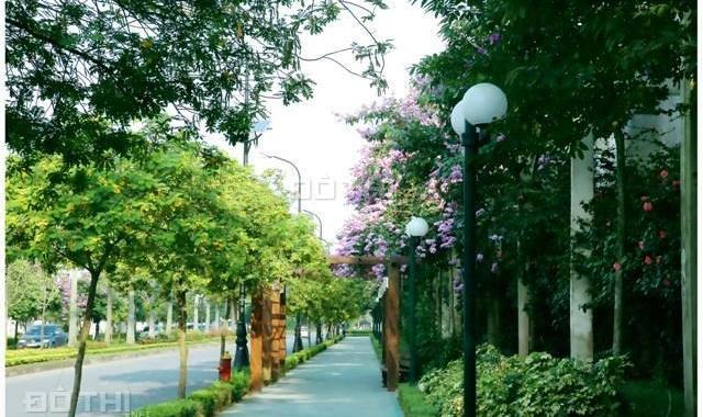 Biệt thự Ciputra Hà Nội, mặt tiền từ 7m, hạ tầng quốc tế, gần CV, vườn hoa Ciputra. 0981.392.892