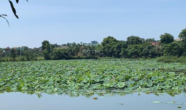 Cơ hội sở hữu lô đất nền duy nhất ở Hòa Lạc có view hồ sinh thái rộng 3ha - Hòa Lạc Lakeview