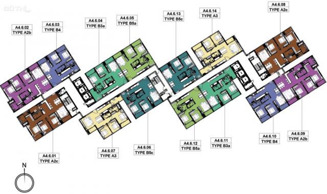 Cập nhật rổ hàng chuyển nhượng Diamond Celadon City