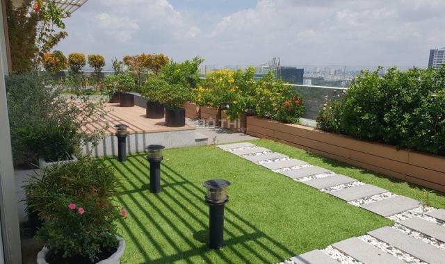 Bán penthouse Riverpark Phú Mỹ Hưng, hơn 500m2 cực vip - 0949.333.811