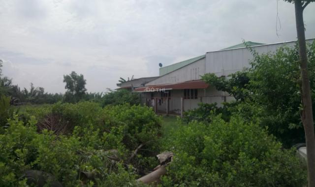 Nhà ngay mặt tiền đường Nguyễn Văn Tạo + 4 nhà trọ khu giáo điểm tin lành Cha Long