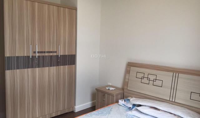 Cho thuê căn hộ 65m2, 2PN, 2WC, gần công viên Đầm Sen quận Tân Phú full nội thất. LH 0938 008 220