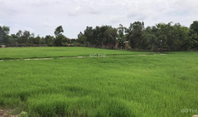 Bán đất công huyện Đức Hòa, giá rẻ, 17x73m đất nông nghiệp