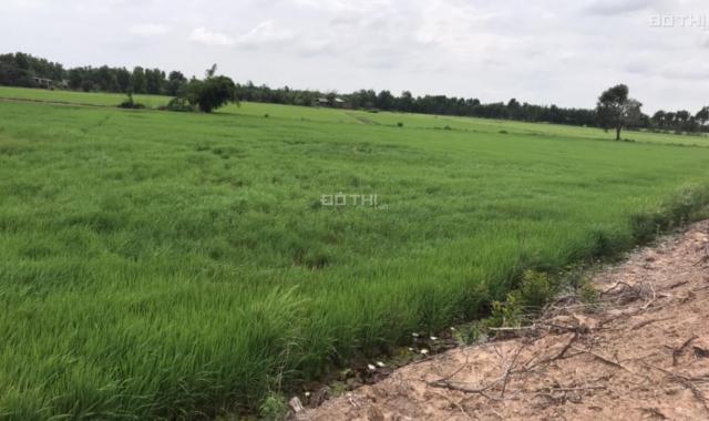 Bán đất công huyện Đức Hòa, giá rẻ, 17x73m đất nông nghiệp