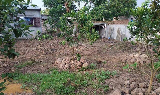 Nhà bác mình có mảnh đất ở thôn Cựu - Vân Từ - Phú Xuyên - Hà Nội cần bán