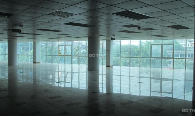Cao ốc An Phú Building 26 đường Hoàng Quốc Việt, cho thuê văn phòng 100m2 - 500m2. LH: 0906011368