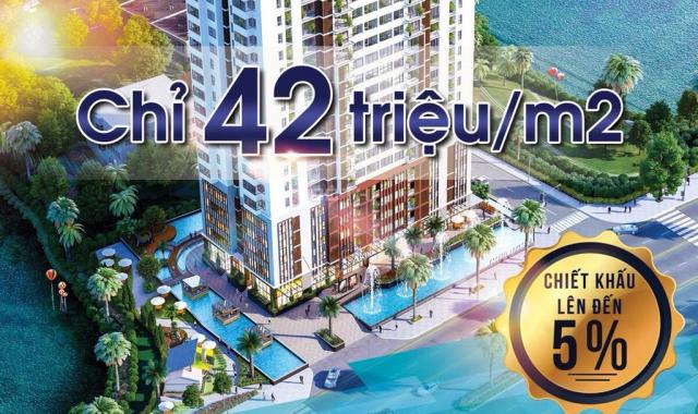 Siêu dự án Ascent Lakeside căn hộ officetel MT Nguyễn Văn Linh mở bán giá chính thức, chỉ 42tr/m2