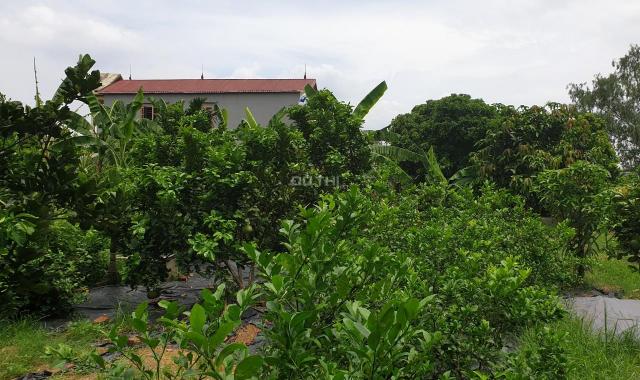 Chính chủ bán nhà đất tại khu C5, Xã Tiên Dược, Sóc Sơn, Hà Nội diện tích 1100m2, giá 3.2 tỷ