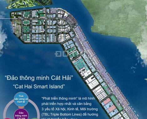 CC bán đất tại Xã Cát Hải, Cát Hải, Hải Phòng diện tích 179.25m2, giá 22 triệu/m2