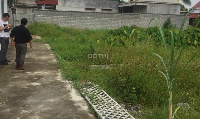 Cần bán gấp đất chia lô gần ủy ban xã Tân Hưng - Vĩnh Bảo