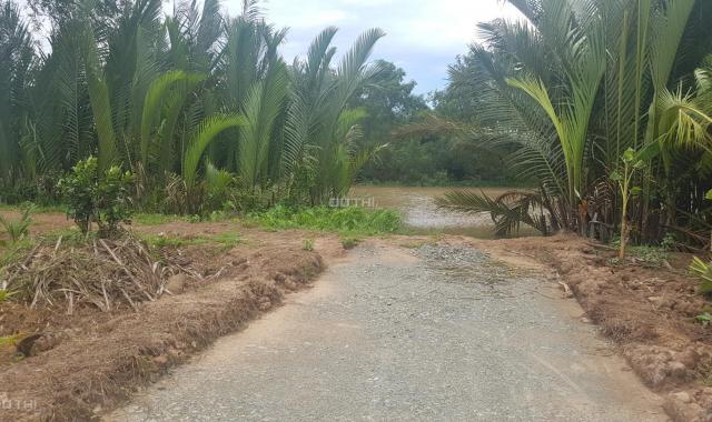 Cần bán 8000m2 đất vườn sát sông Ba Lai, có đường xe tải 5m tới đất, Bến Tre, giá rẻ