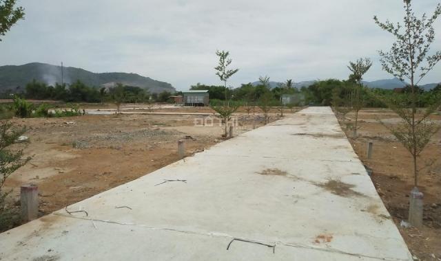 Bán đất tại đường Thành Hồ, Xã Diên Phước, Diên Khánh, Khánh Hòa, DT 92.8m2, giá 260 triệu/nền