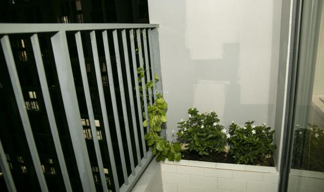 Cho thuê căn La Astoria 3 số 383 Nguyễn Duy Trinh, Bình Trưng Tây, Q2, TP. HCM