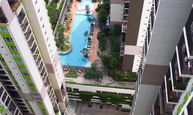 Penthouse view trực diện sông Sài Gòn, chiết khấu lên đến 10%, tặng gói nội thất 1 tỷ