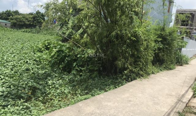 Bán đất xã Hồng Vân, huyện Ân Thi, Hưng Yên giá tốt. LH: 0971.688.123