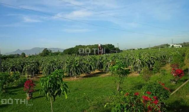 Chính chủ bán nhà vườn cách QL 1A 1,5km, tỉnh Bình Thuận