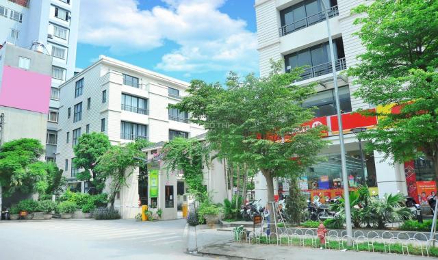 Bán gấp 4 căn hàng hiếm dãy đẹp nhất Nhà vườn Pandora Thanh Xuân giá rẻ nhất thị trường