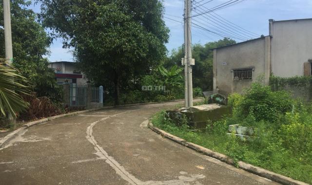 Bán nhà riêng tại Phường Phú Thọ, Thủ Dầu Một, Bình Dương diện tích 264m2 (nở hậu 9m), giá siêu rẻ