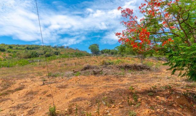 Bán đất view 2 mặt biển 2952m2 tại đường ĐT 1A, xã Ninh Hải, Ninh Hòa, Khánh Hòa, giá 5,95 tỷ