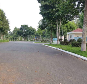 Bán đất đường Nguyễn Thị Búp, sổ riêng, P. Hiệp Thành, 100m2 đã có sổ riêng. LH 0938444711