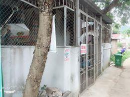Chính chủ cần bán nhà cấp 4 đường Kim Đồng (phố suối) Đồng Đăng, Cao Lộc, Lạng Sơn