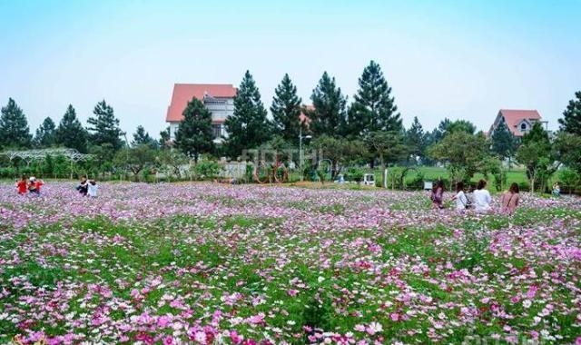 Bán lô biệt thự The Phoenix Garden 400m2 - Đông Nam - giá 17 tr/m2, gần Vin Tân Hội